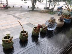 -爸爸糖吐司面包(南京奥体店)