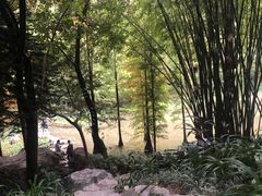 -云溪植物园