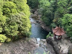 -花岩国家森林公园