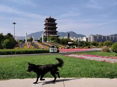 -门城湖公园