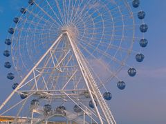 -秦皇岛乐岛海洋王国