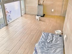 -Double Rui宠物酒店