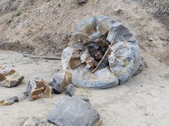 -摩拉基大圆石