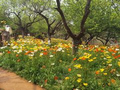 -名花谷生态庄园