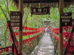 -呀诺达热带雨林