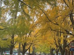 -四川大学(华西校区)