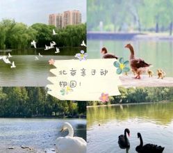 -萌宠亲子动物乐园(槐房万达店)