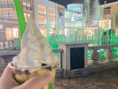 -Salud撒露欧洲冻酸奶(蓝色港湾店)