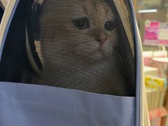 -FAELING PETS美天灵宠物(富力广场店)