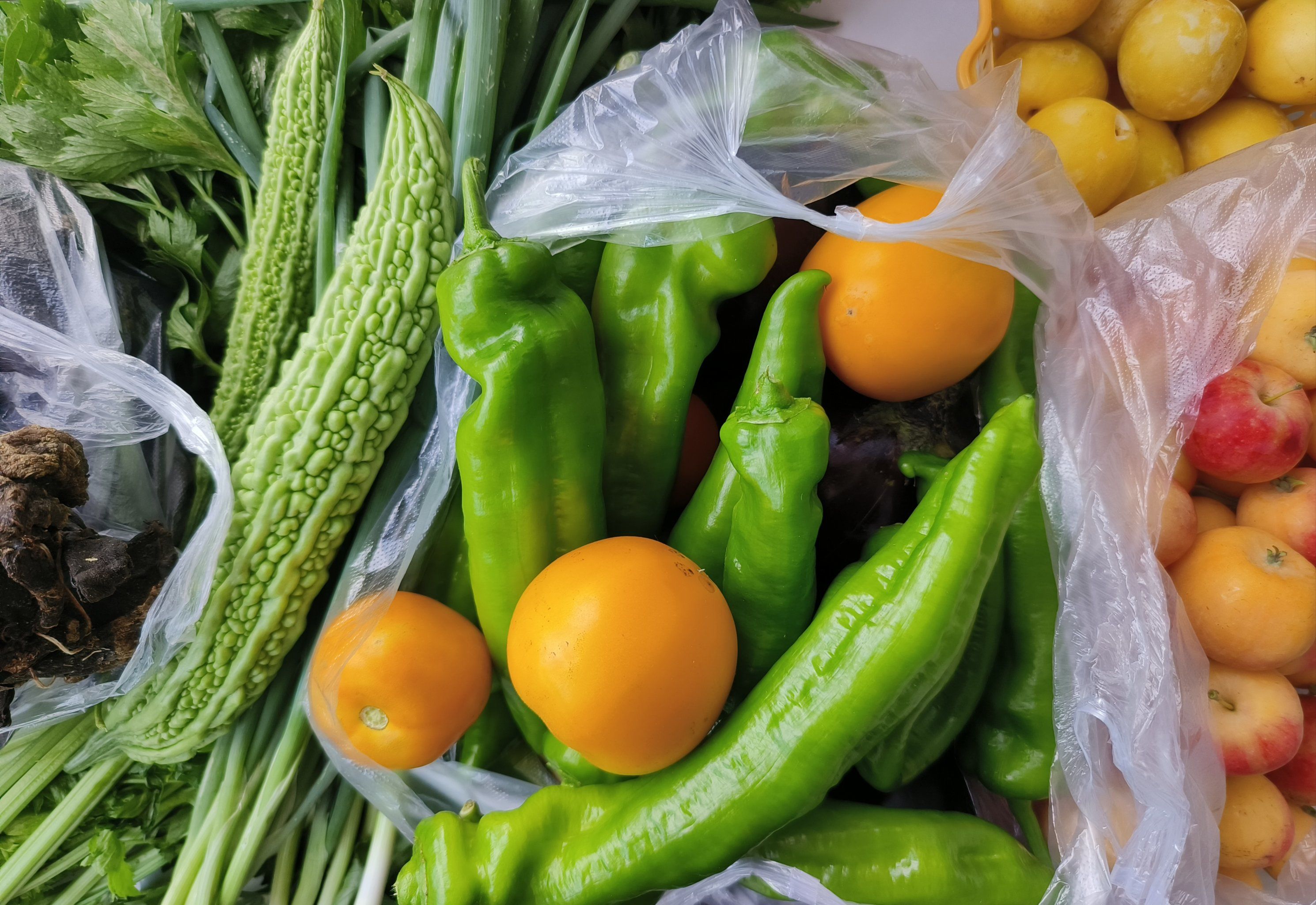 春天的蔬菜买起来