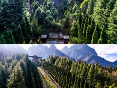 -神农架景区