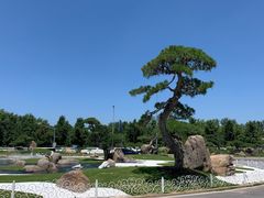 -罗红摄影艺术馆