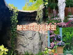 -上海鲜花港