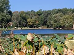 -长春市南湖公园