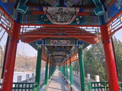 -北宫国家森林公园