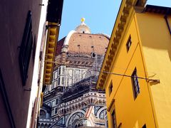 -圣母百花大教堂穹顶