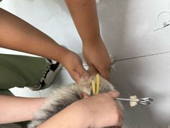 -达爱动物医院·犬猫分区·CT·复杂眼科(远洋山水分院)