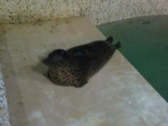 Photo-0208-绿色时代大酒店