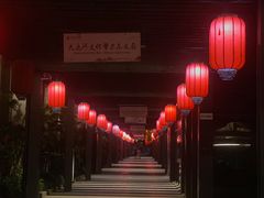 -运河游船(武林门码头)