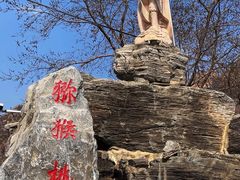 -大岭沟猕猴桃谷风景区