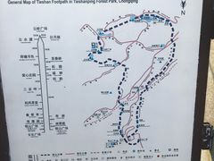 -铁山坪森林公园