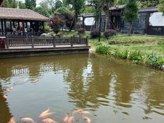 -枫香湖儿童公园