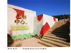 -广东惠东海龟国家级自然保护区