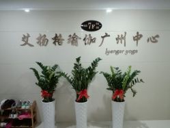 -广州萨谛艾扬格瑜伽中心