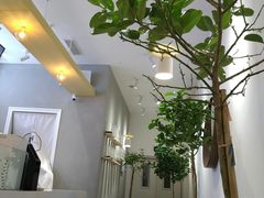 大堂-树夏(金楠天街店)