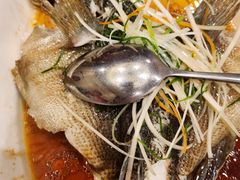 -一品粤珍轩(吴中路店)
