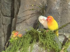 -正佳雨林生态植物园