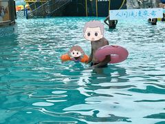 -九曲湾水上乐园