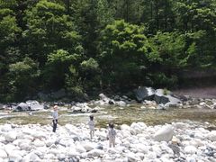 -黑河国家森林公园