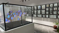 点击看大图 -酷嗒动物文化乐园(cutezoo西溪乐天城店)