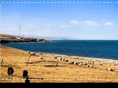 -青海湖国家重点风景名胜区