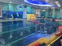 -小泳士游泳训练基地(芥园西道店)