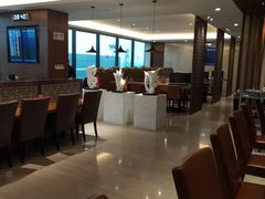 -虹桥机场国航贵宾室v8