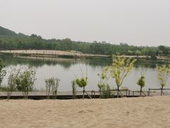 -东郊湿地公园