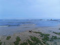 -青岛银沙滩