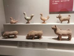 -四川宋瓷博物馆