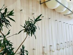 -岁宝Shirble plaza(景田店)