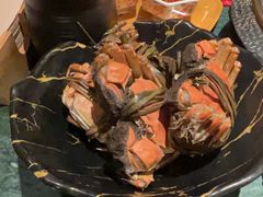 -牛New寿喜烧(中山公园龙之梦店)