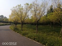 -东郊湿地公园
