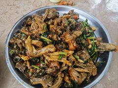 -遇龙河大樟树农家乐