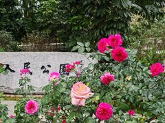 -人民公园(罗湖区)