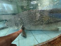 -大天然酒店(军民路店)