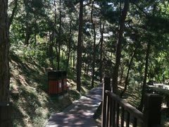 -北京十三陵国家森林公园蟒山景区