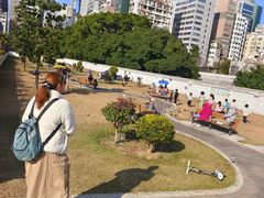 -九龙公园