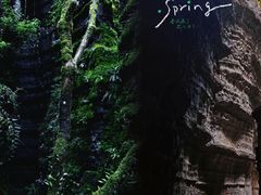 -梭布垭石林景区