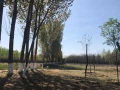 -东郊湿地公园